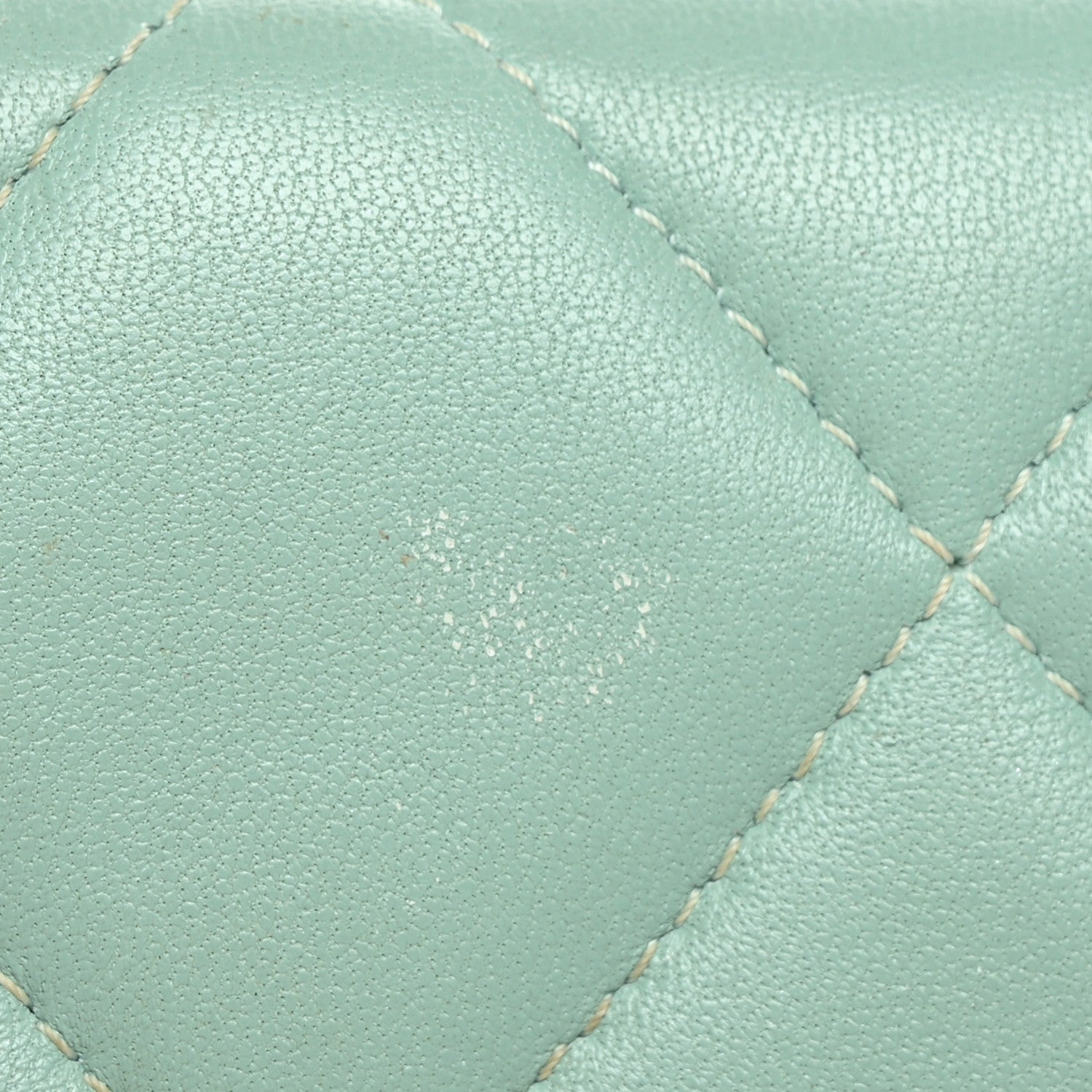 Chanel Lambskin Quilted Chanel 19 Flap Card Holder Light Green 12 of 13