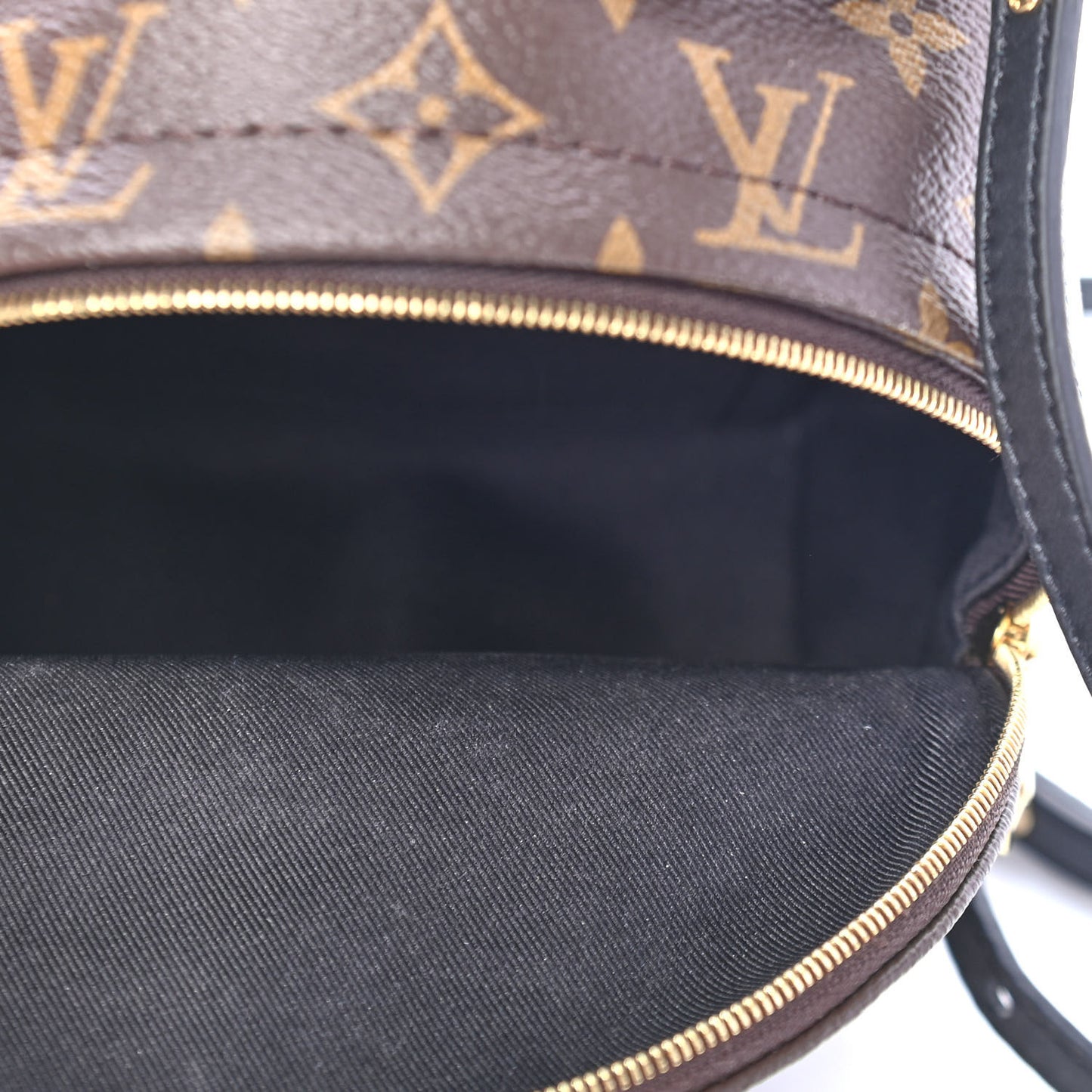 Monogram Palm Springs Backpack Mini