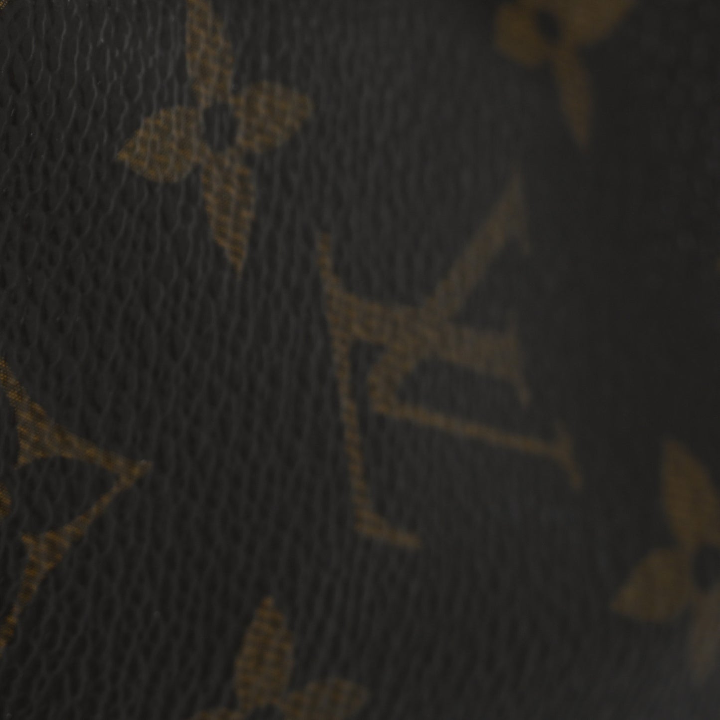 Monogram Speedy 25