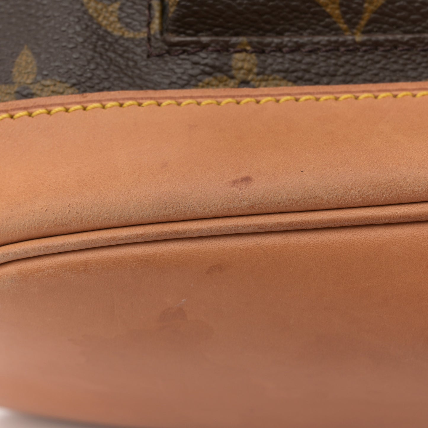Monogram Montsouris MM Backpack