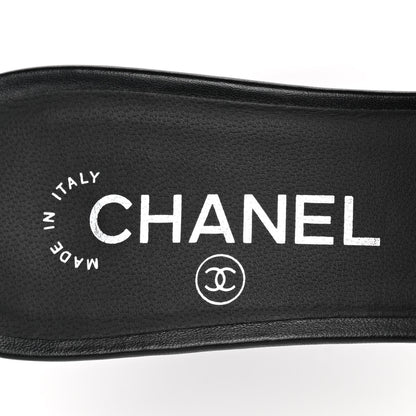 Chanel Lambskin PVC Mule 39.5 Transparent Black 7 of 8