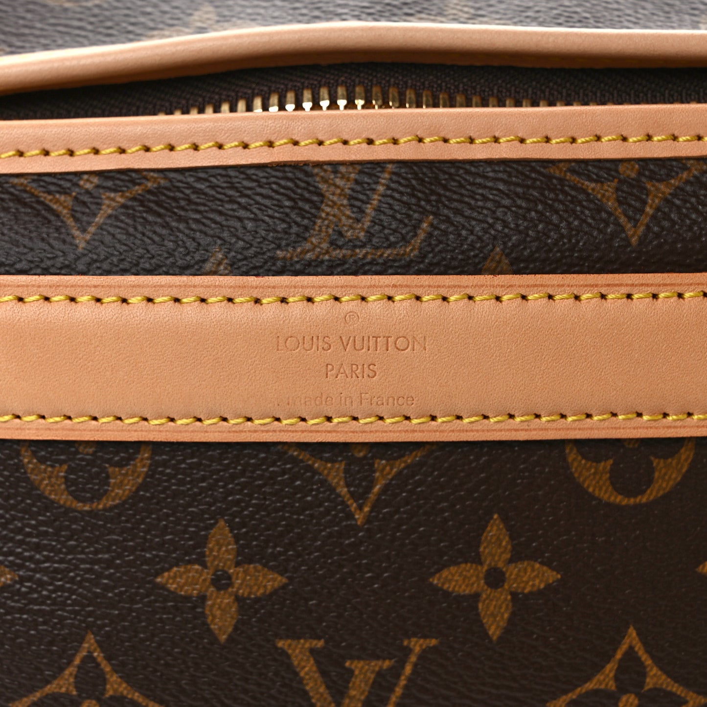 Monogram Sac Chien 40 Pet Carrier