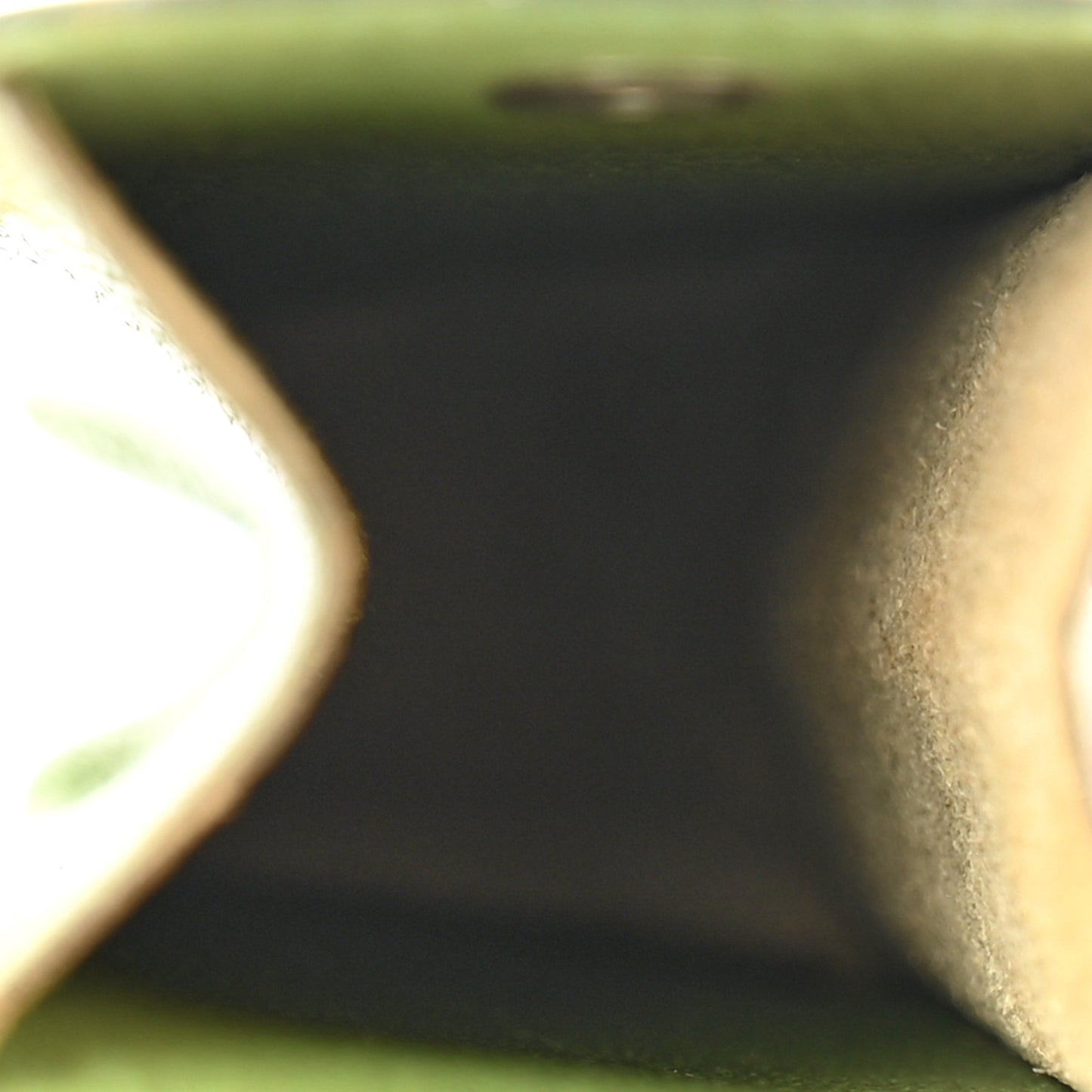 Chevre Mysore Pen Case Vert Anis