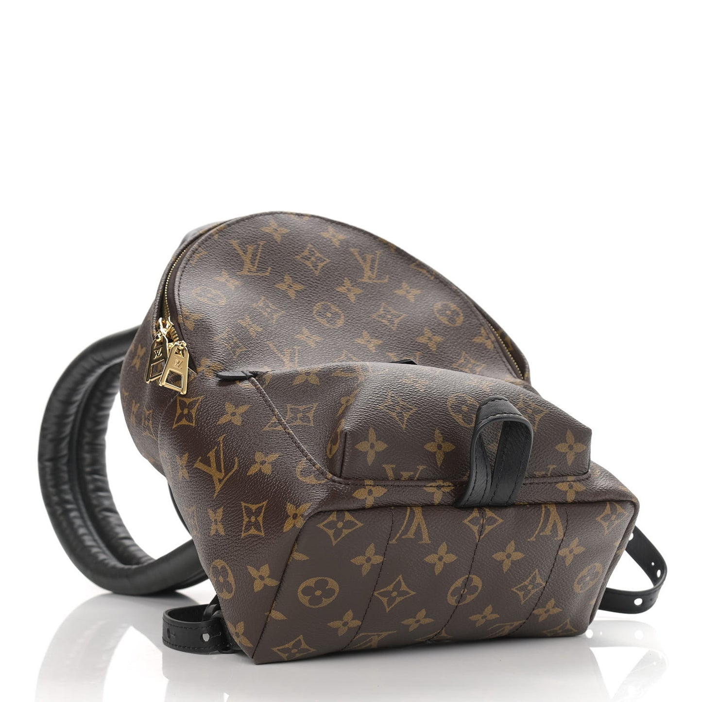 Monogram Palm Springs Backpack PM