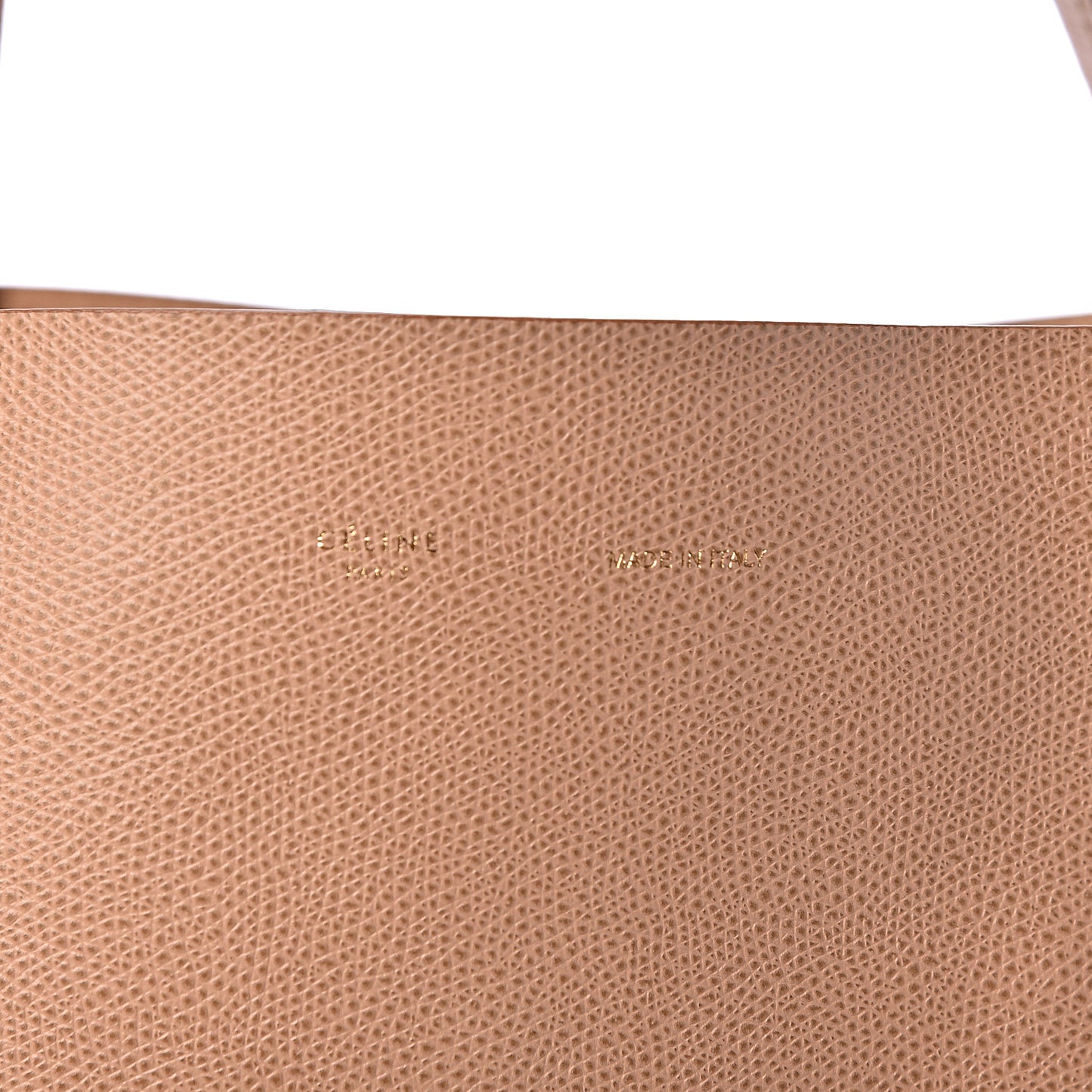 Grained Calfskin Horizontal Bi-Cabas Nude Deepsea