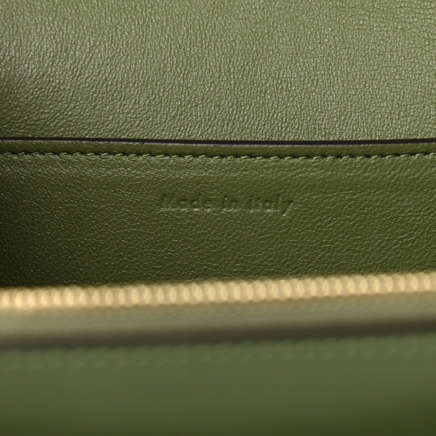 Shiny Smooth Calfskin Medium Frame Shoulder Bag Olive Pastel Green