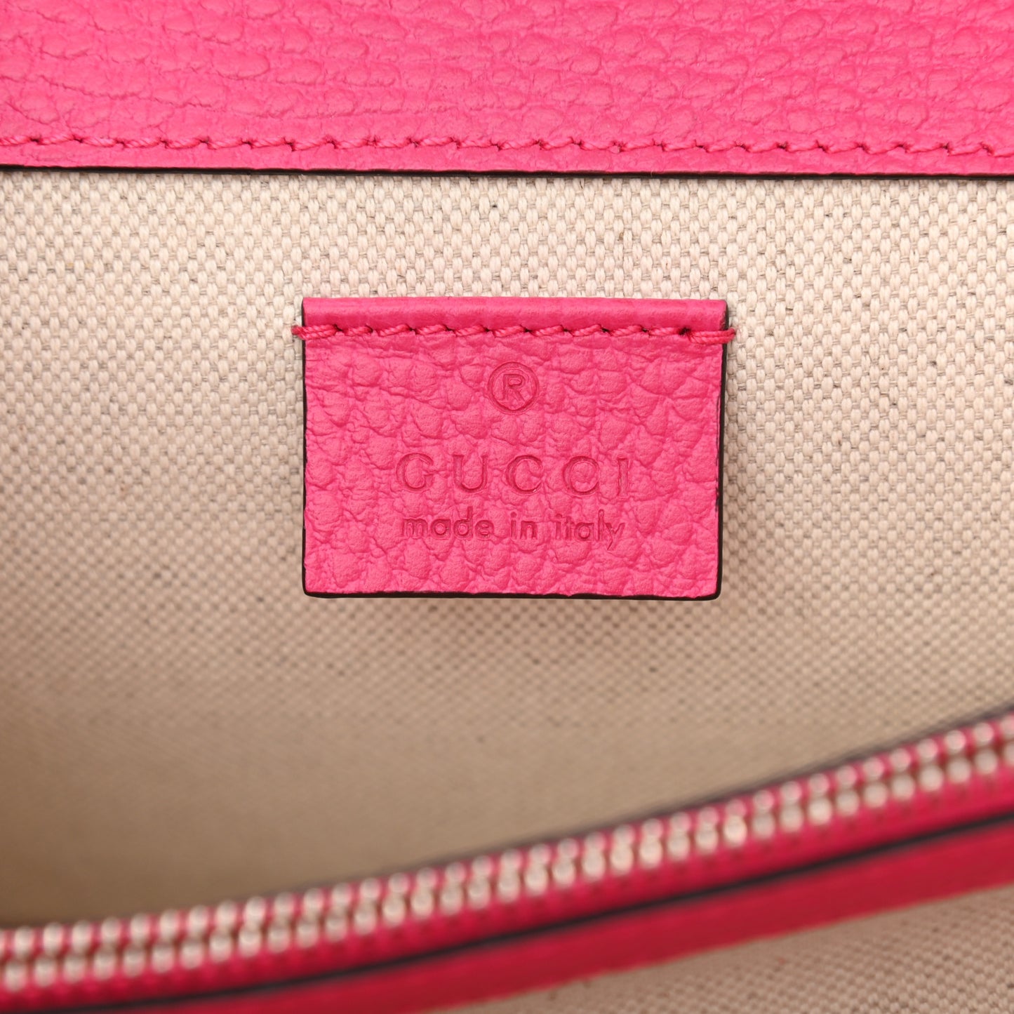 Pebbled Calfskin Embellished Guccify Small Dionysus Shoulder Bag Rosa
