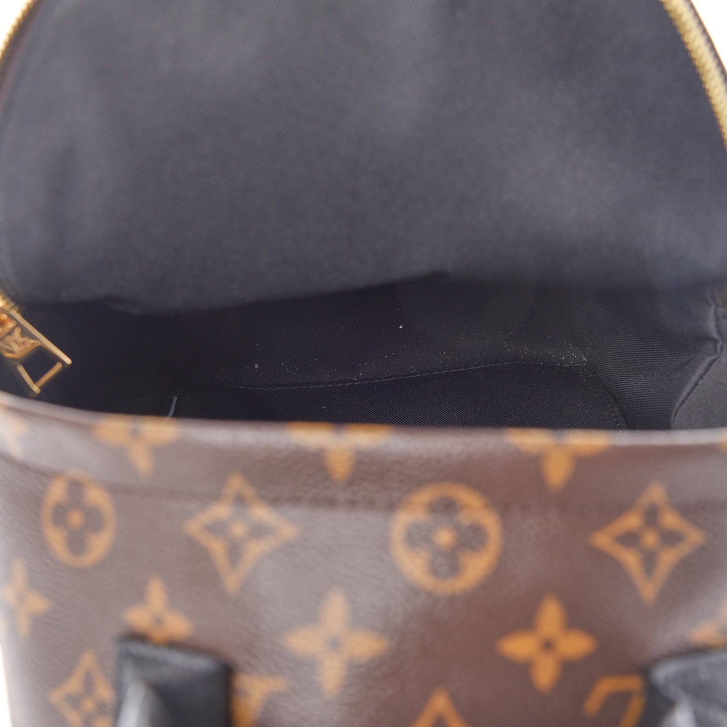 Reverse Monogram Palm Springs Backpack PM