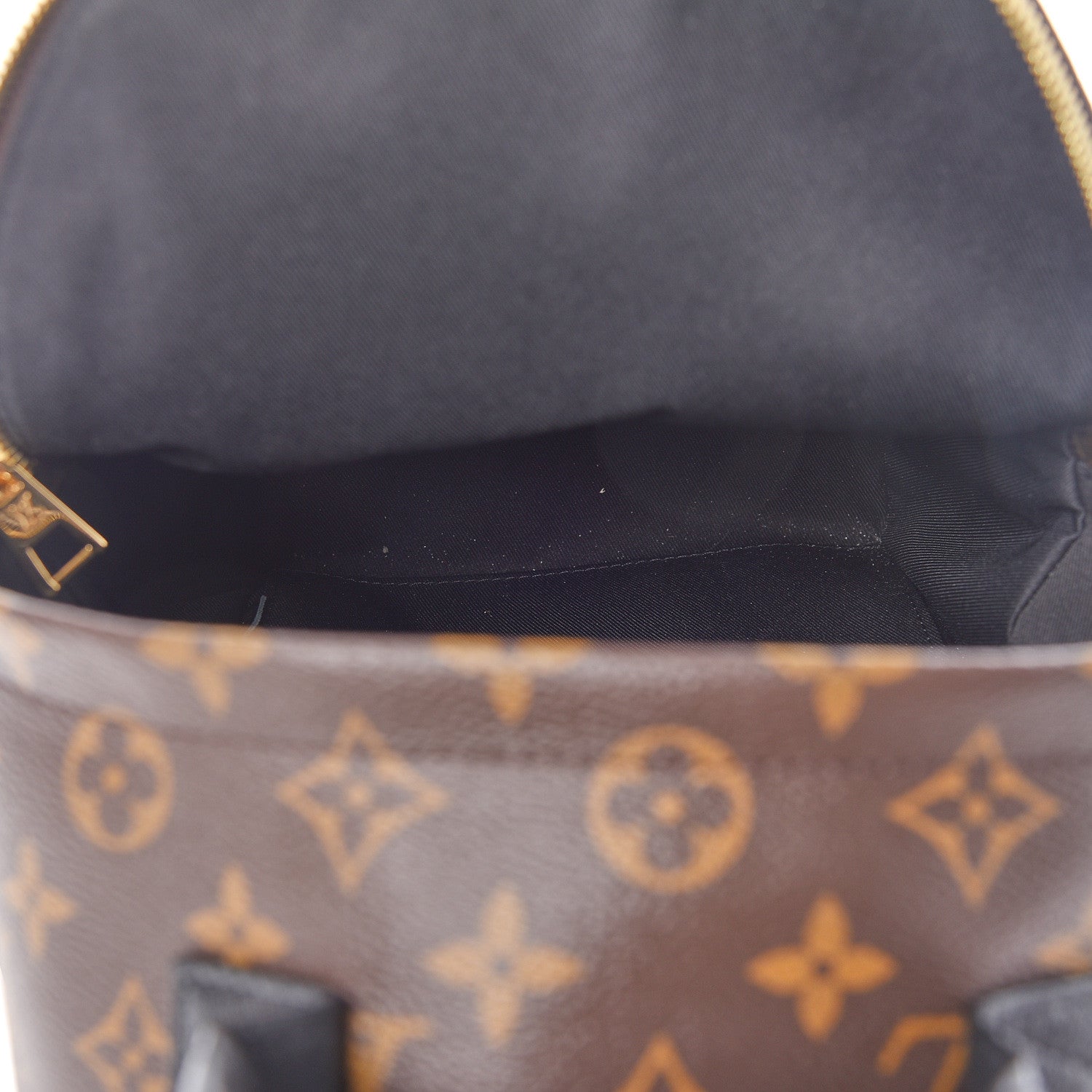 Louis Vuitton Reverse Monogram Palm Springs Backpack PM 7 of 10