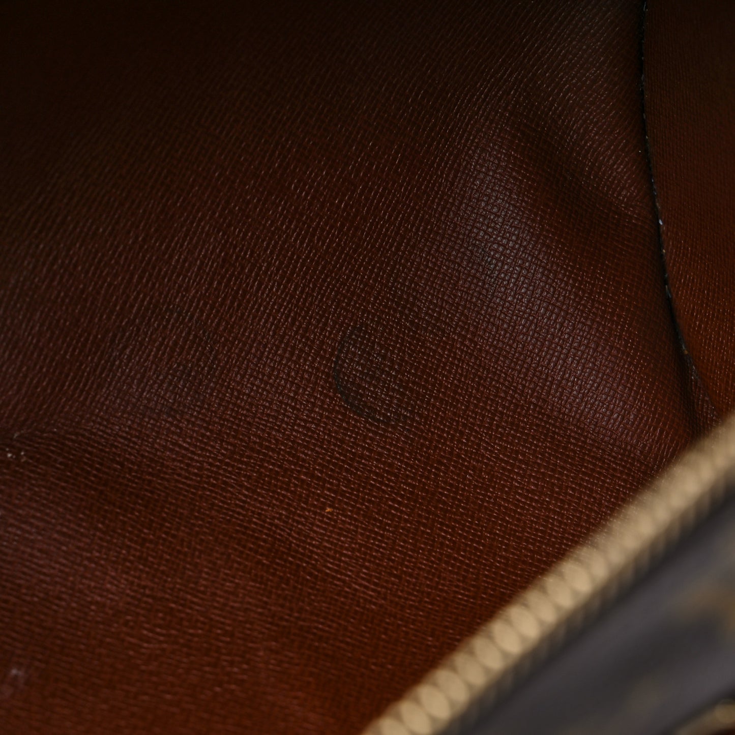 Monogram Papillon 30 with Companion