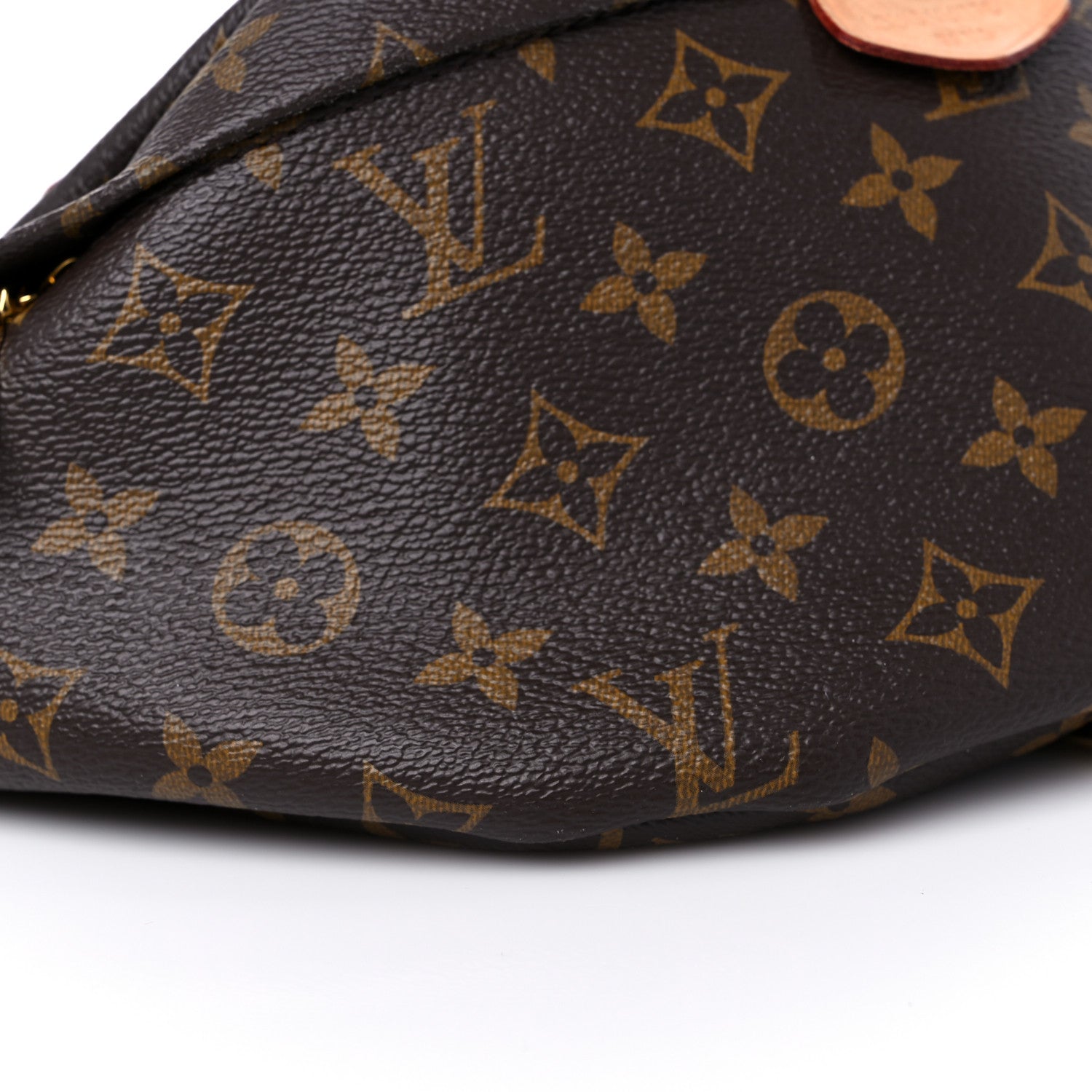 Louis Vuitton Monogram Bumbag 8 of 14
