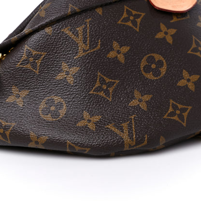 Louis Vuitton Monogram Bumbag 8 of 14