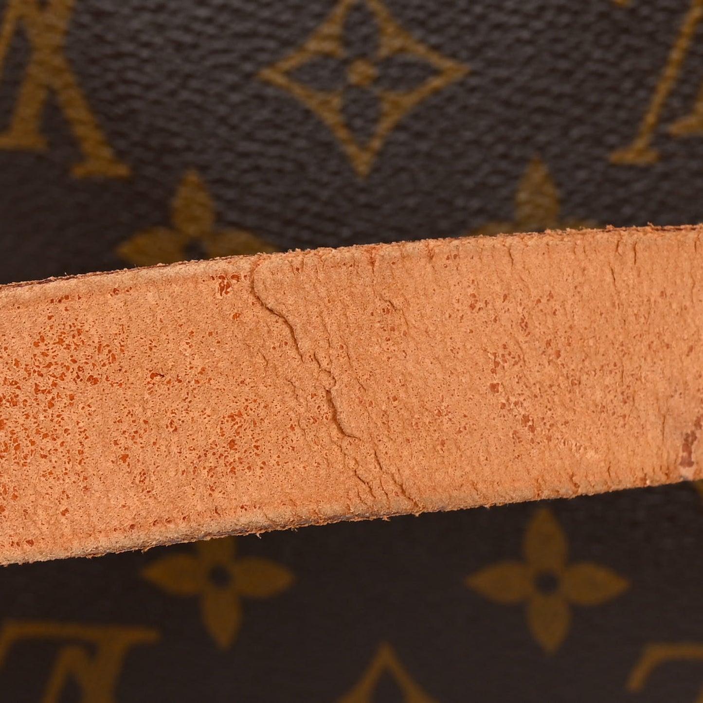 Monogram Cartouchiere 26