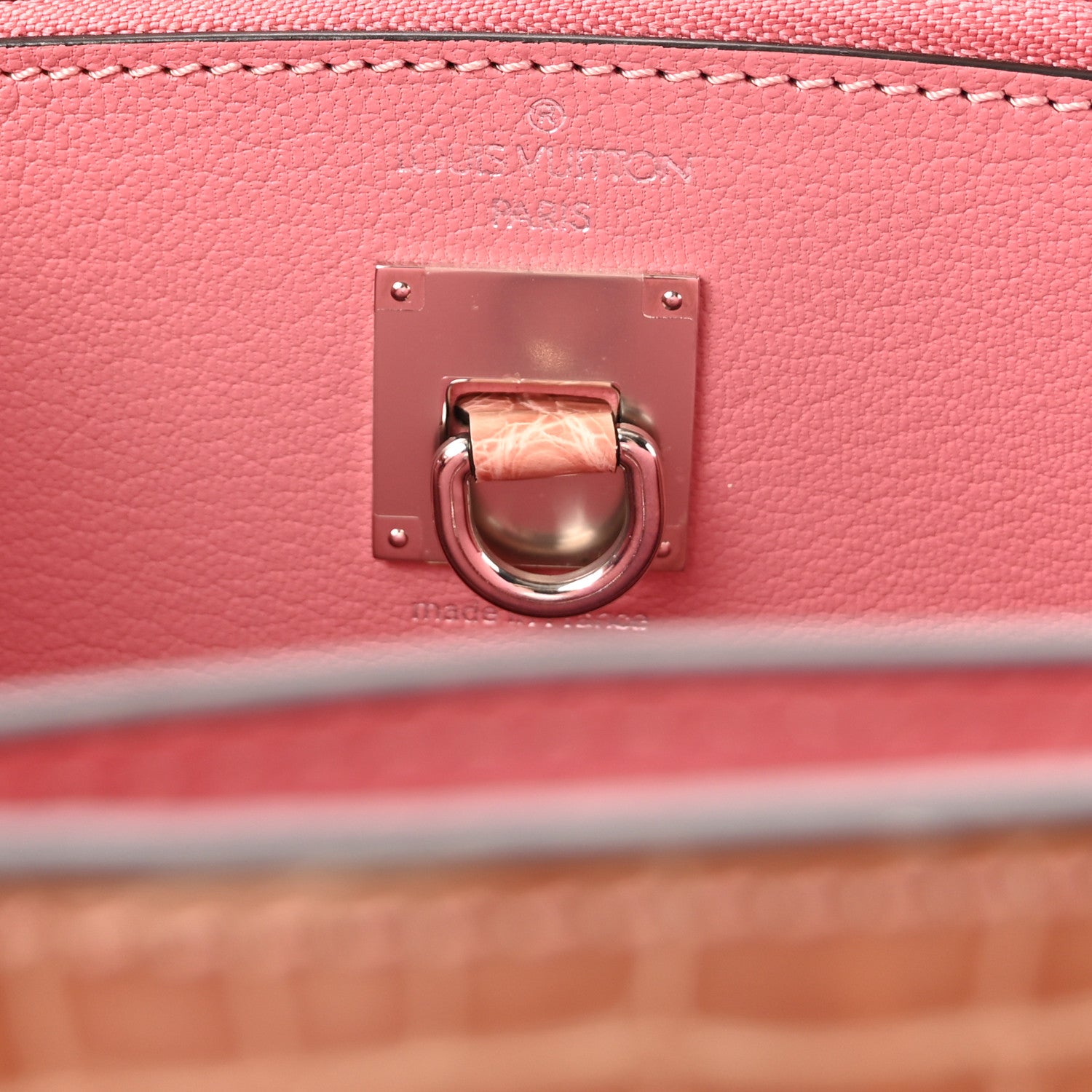 Louis Vuitton Alligator City Steamer PM Sienna Nude 6 of 9