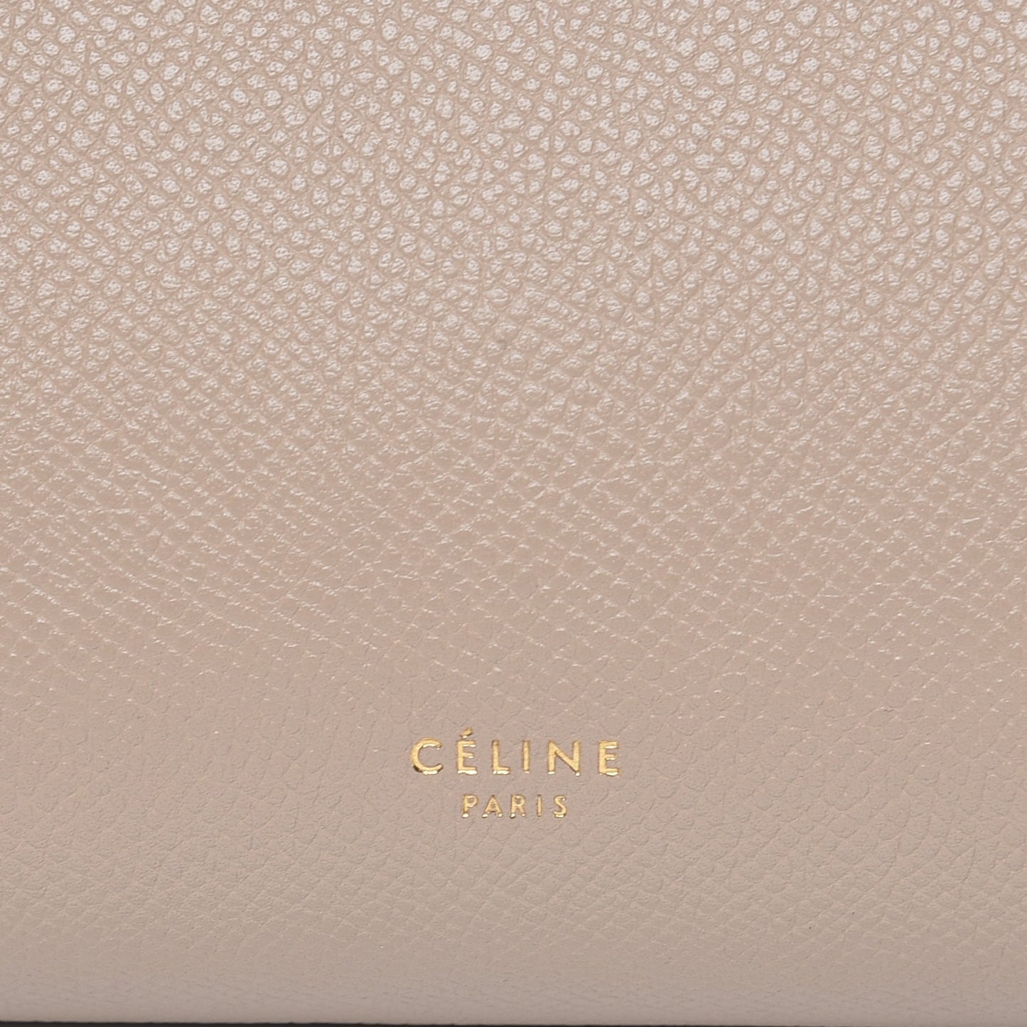Grained Calfskin Mini Belt Bag Light Taupe