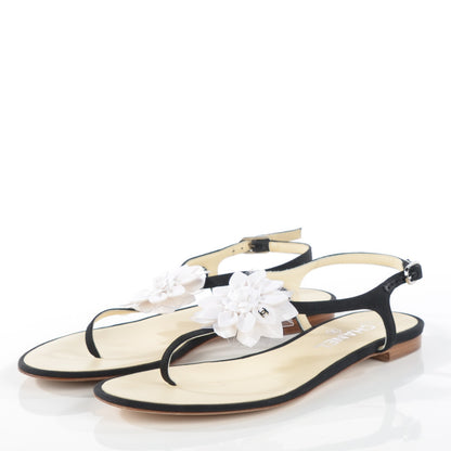 Chanel Grosgrain Camellia Thong Sandals 38 Black White 3 of 7