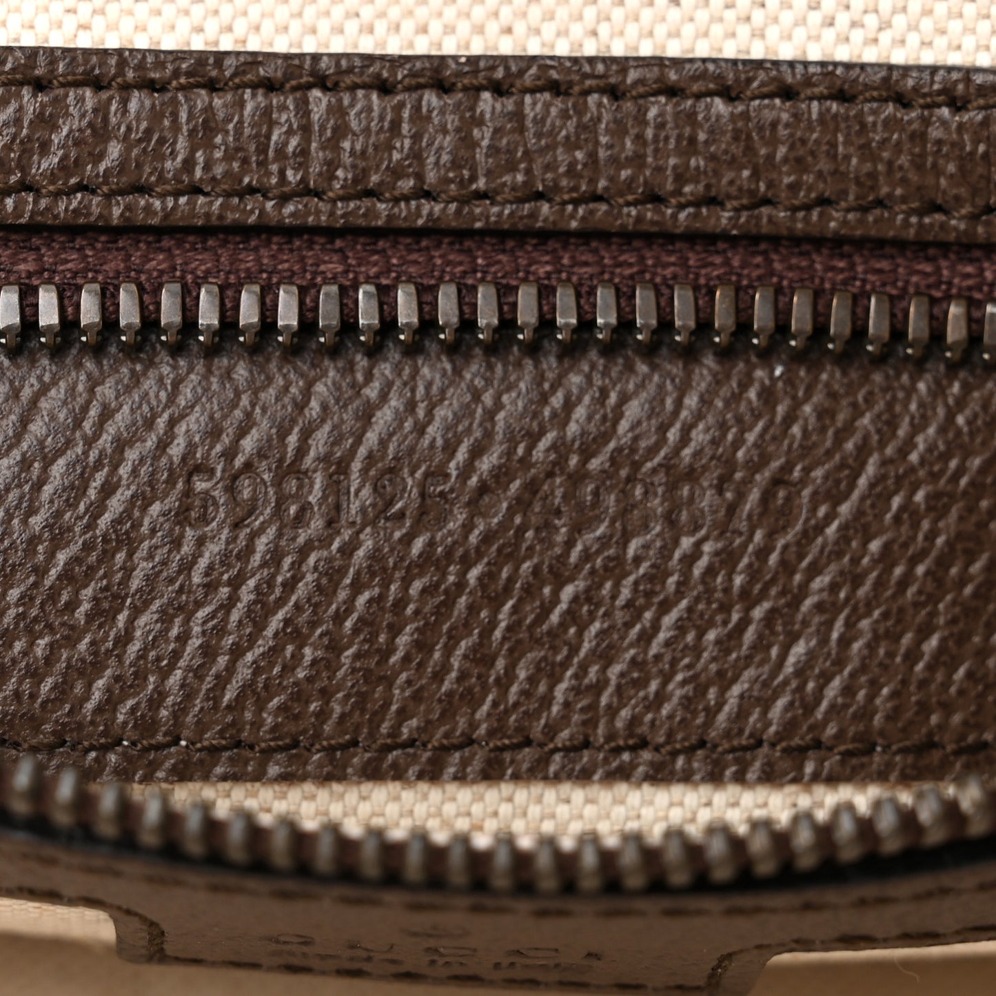 GG Supreme Monogram Web Small Ophidia Half Moon Hobo Brown