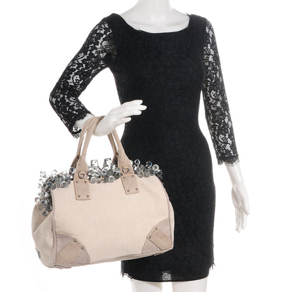 Prada Canvas Mistolino Medium Crystal Cluster Frame Bag Naturale 2 of 18