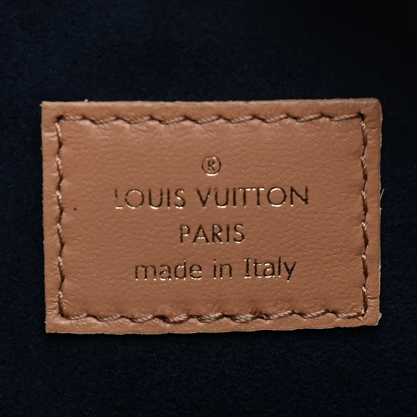 Lambskin Embossed Monogram Coussin PM Camel