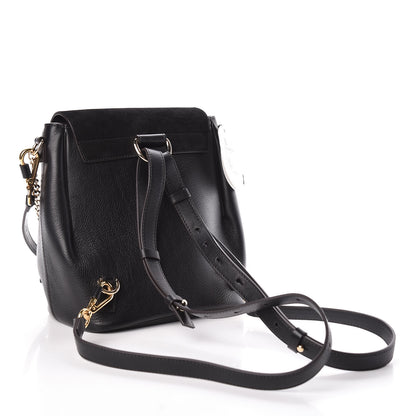 Chloe Suede Calfskin Small Faye Backpack Black 3 of 9