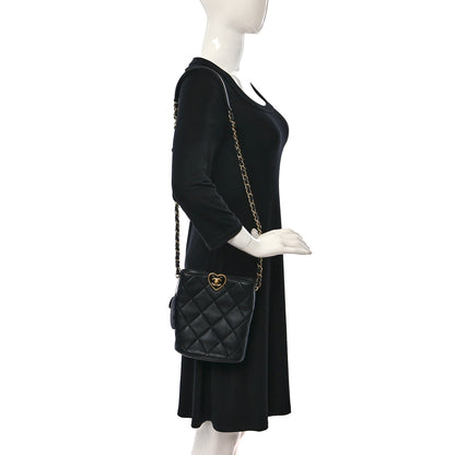 Chanel Lambskin Plexiglass Quilted Coco Love Bucket Bag Black 2 of 11