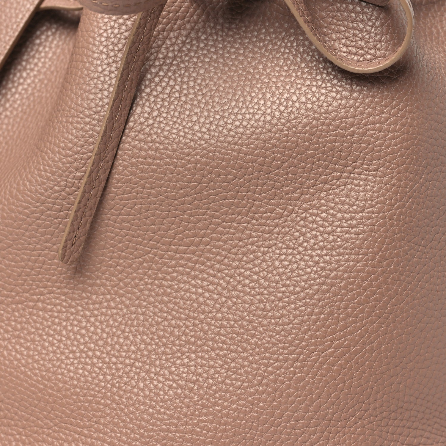 Mansur Gavriel Pebbled Calfskin Soft Mini Bucket Bag Biscotto 7 of 9