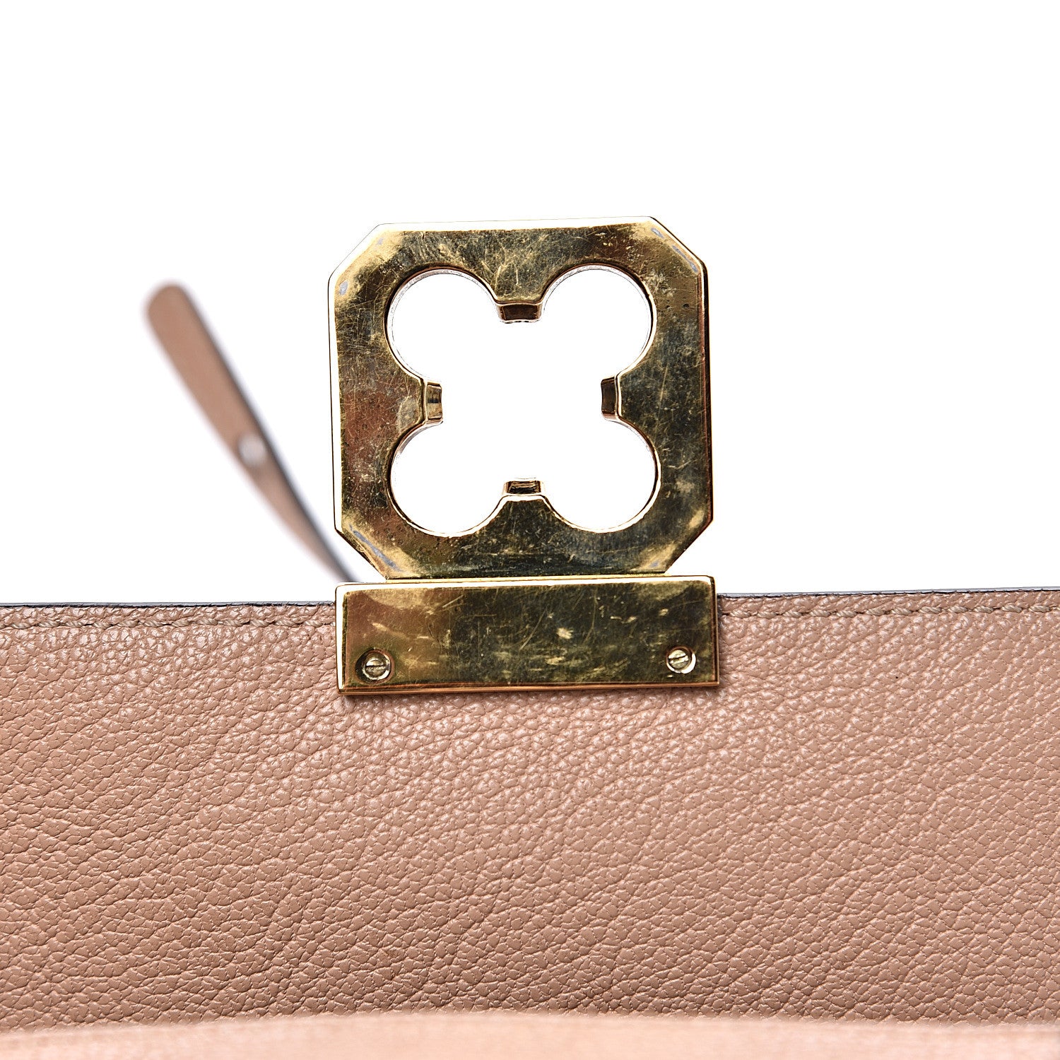 Chloe Goatskin Mini Elsie Crossbody Bag Biscotti Beige 8 of 16