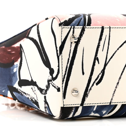 Christian Dior Canvas Graffiti Floral Printed Medium Lady Dior Multicolor 9 of 10