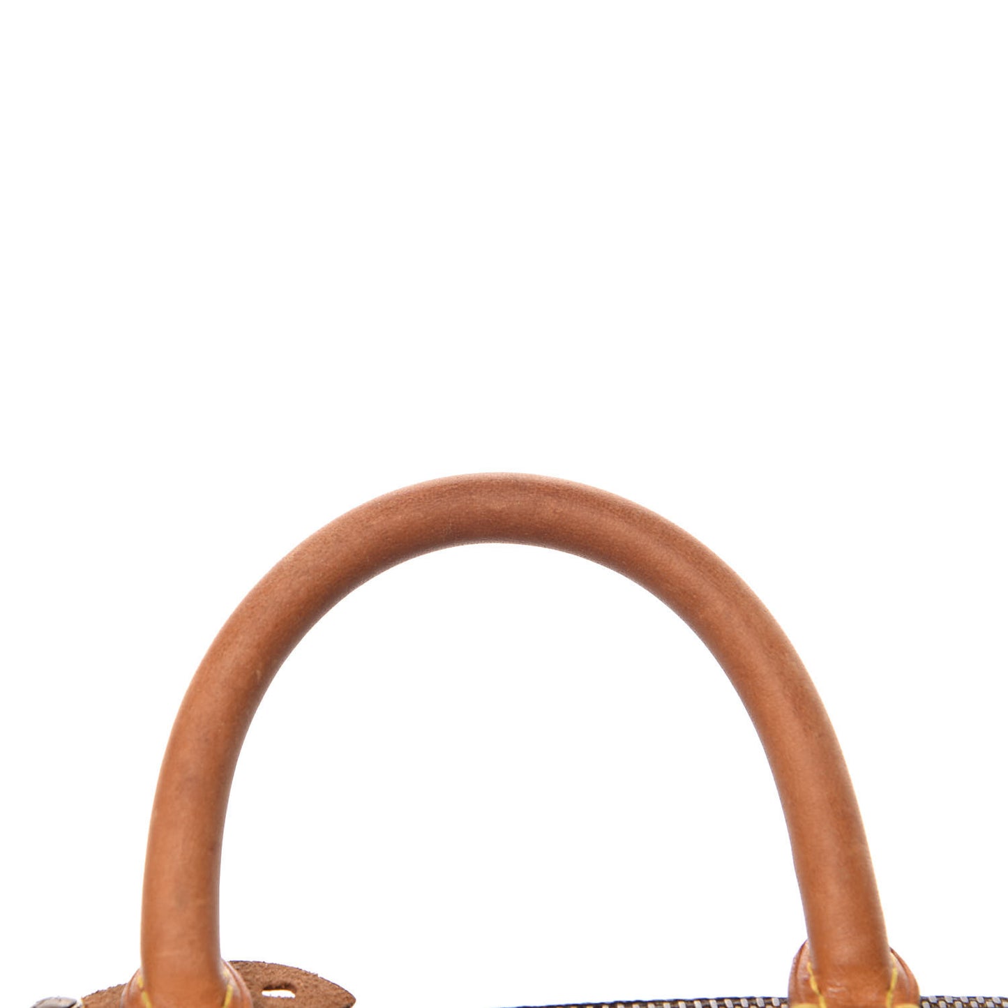 Monogram Mini Sac HL Speedy