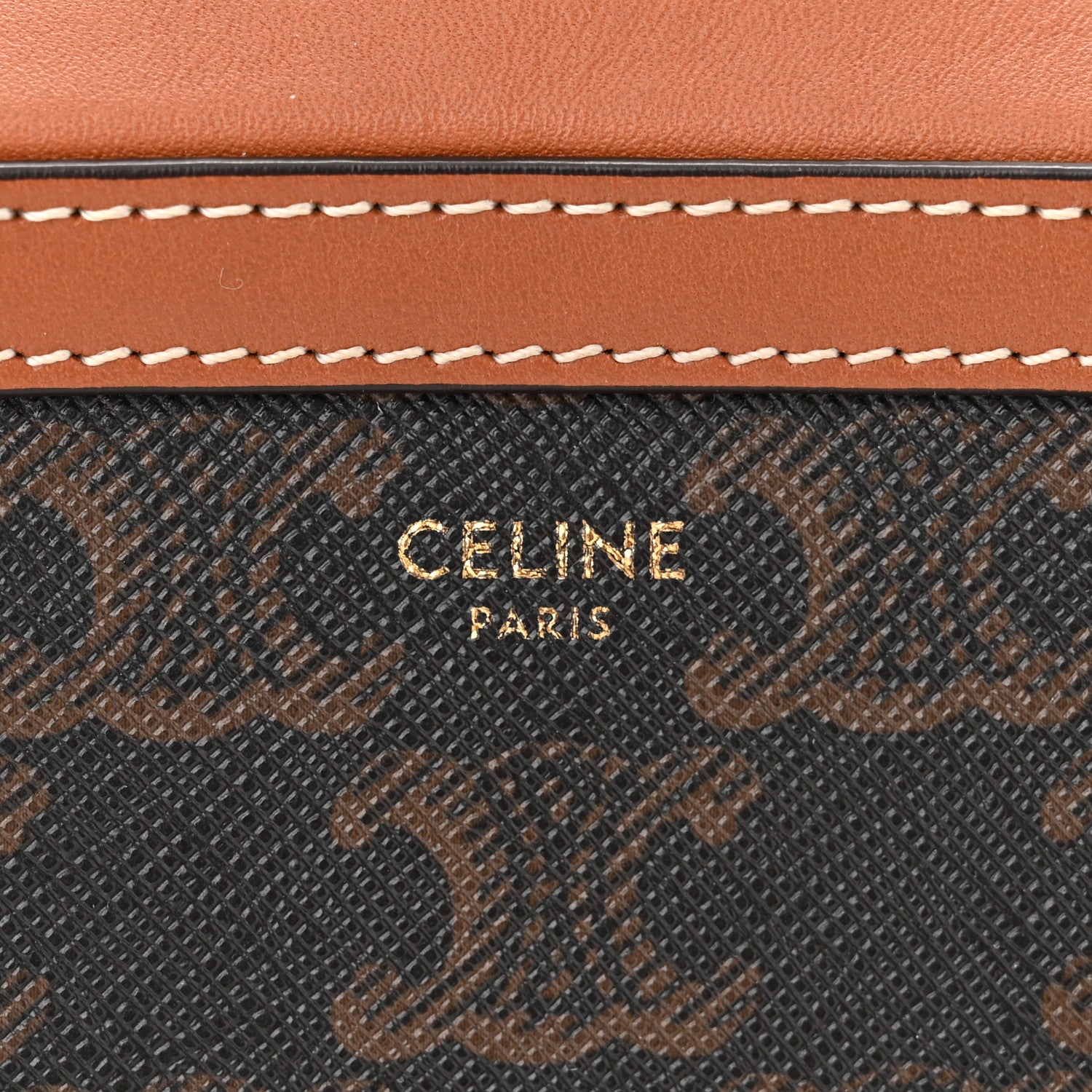 Celine Triomphe Canvas Small Camera Bag Tan 6 of 10
