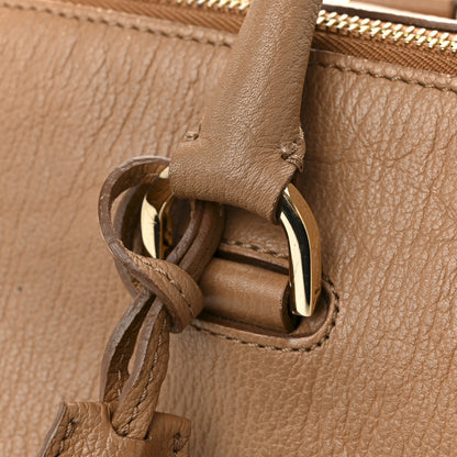 Mulberry Glossy Goatskin Medium Del Rey Satchel Fudge 13 of 16