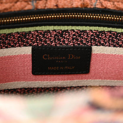 Christian Dior Canvas Embroidered In Lights Medium Lady D-Lite Multicolor 7 of 12