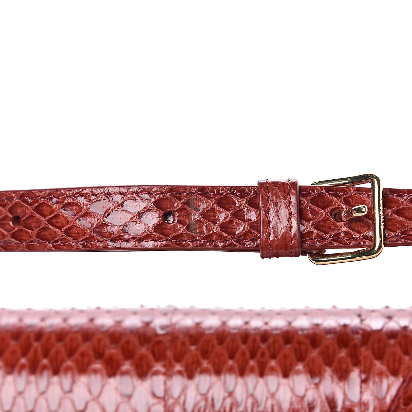 Watersnake Teen Triomphe Ruby