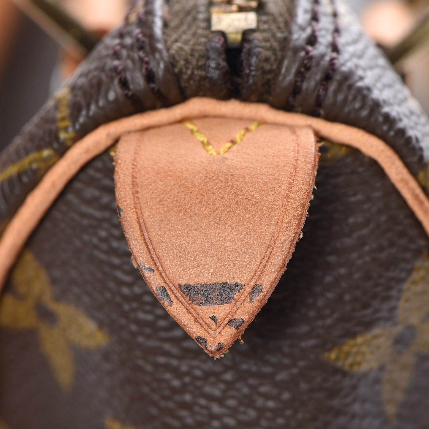Monogram Mini Sac HL Speedy