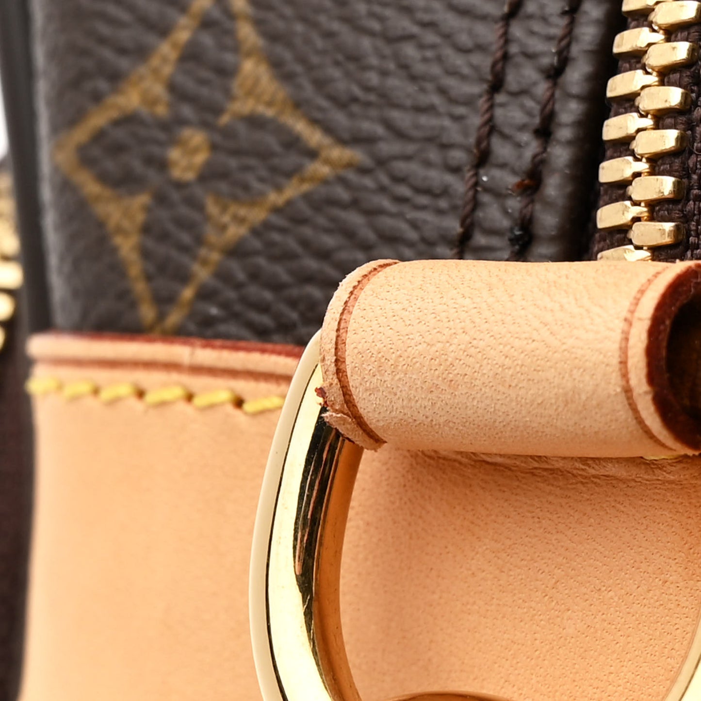 Monogram Icare Bag