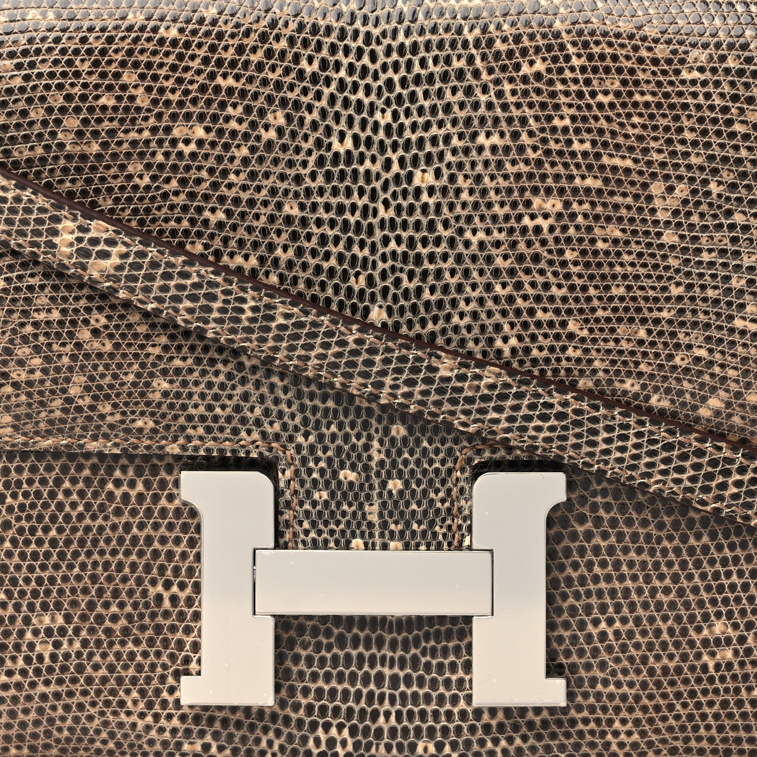 Hermes Lizard Constance 18 Ombre 8 of 11