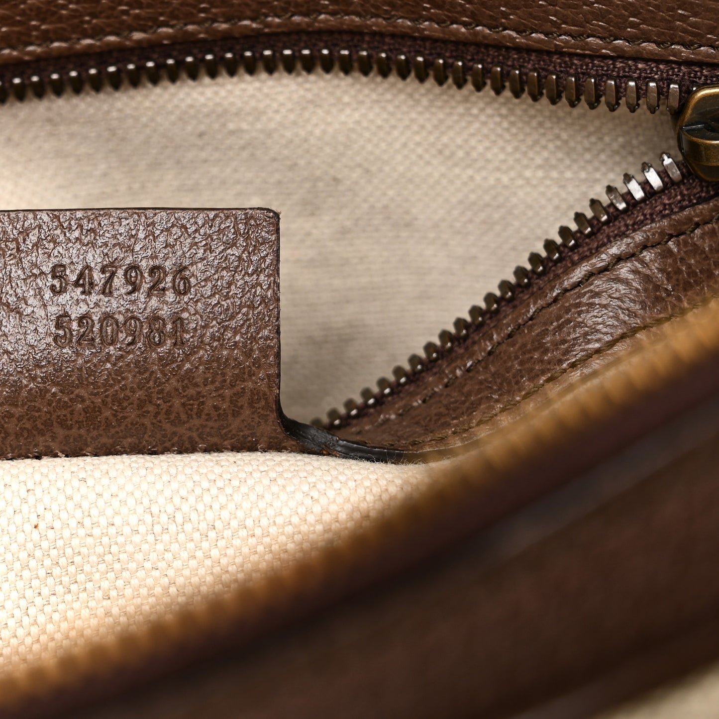 GG Supreme Monogram Web Small Ophidia Messenger Bag Brown