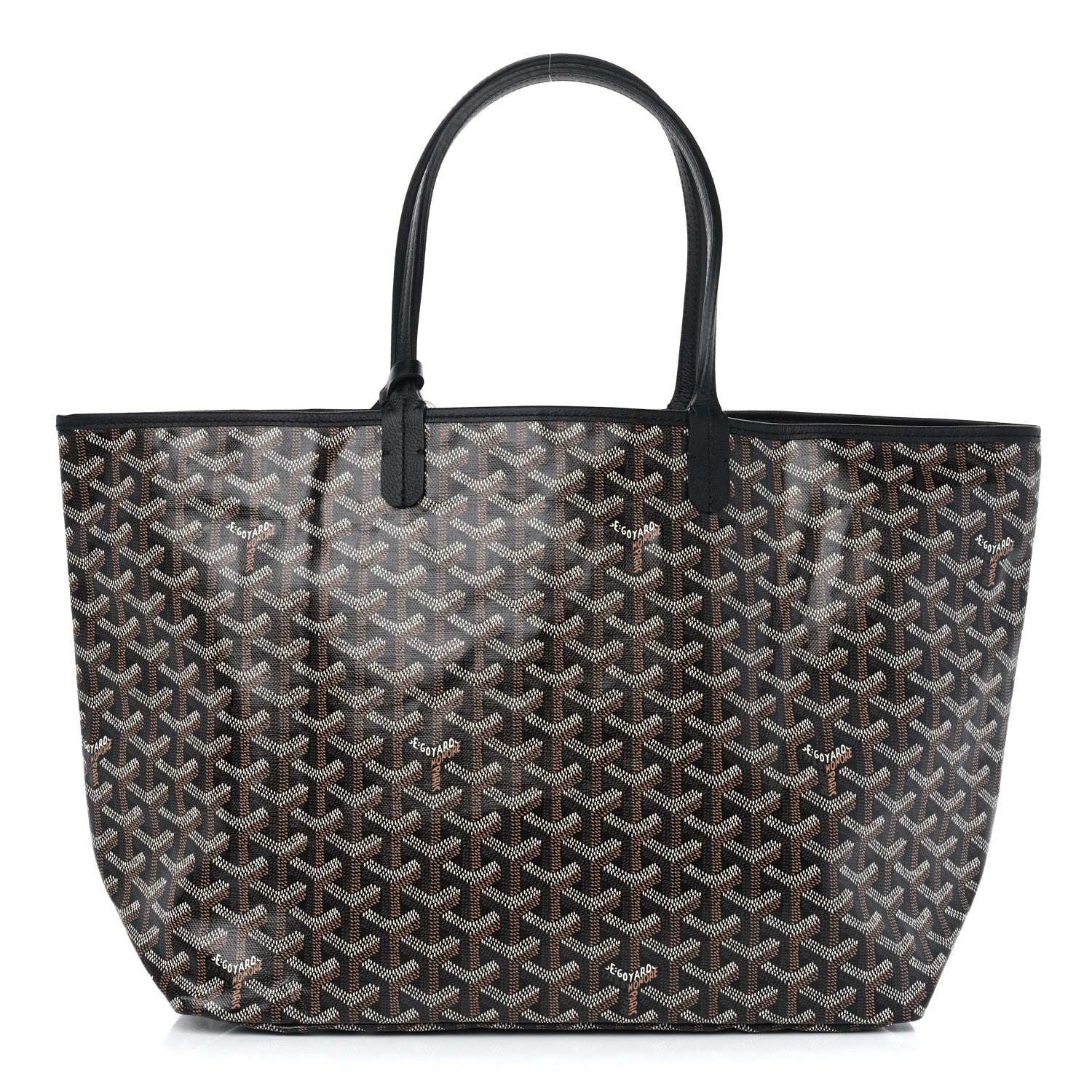 Goyard Goyardine Saint Louis PM Black 1 of 11
