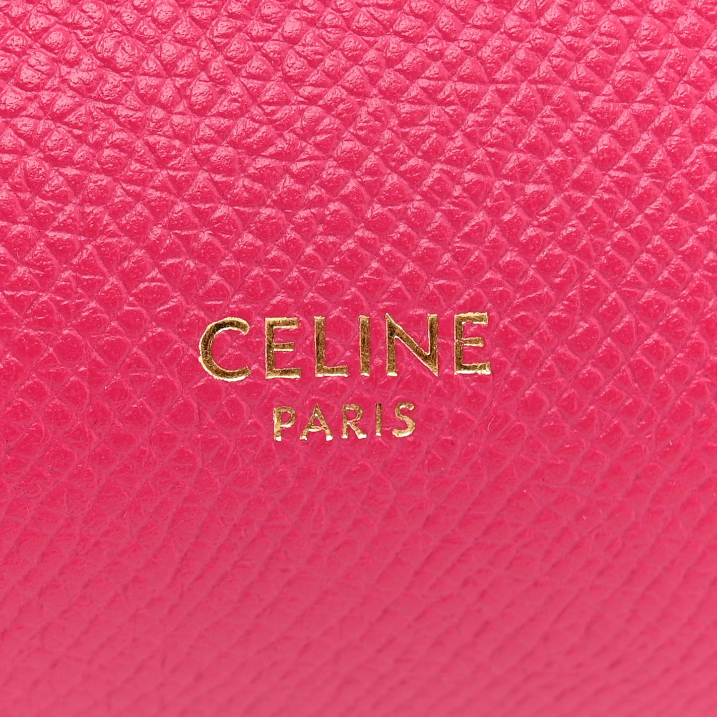 Grained Calfskin Nano Belt Bag Raspberry