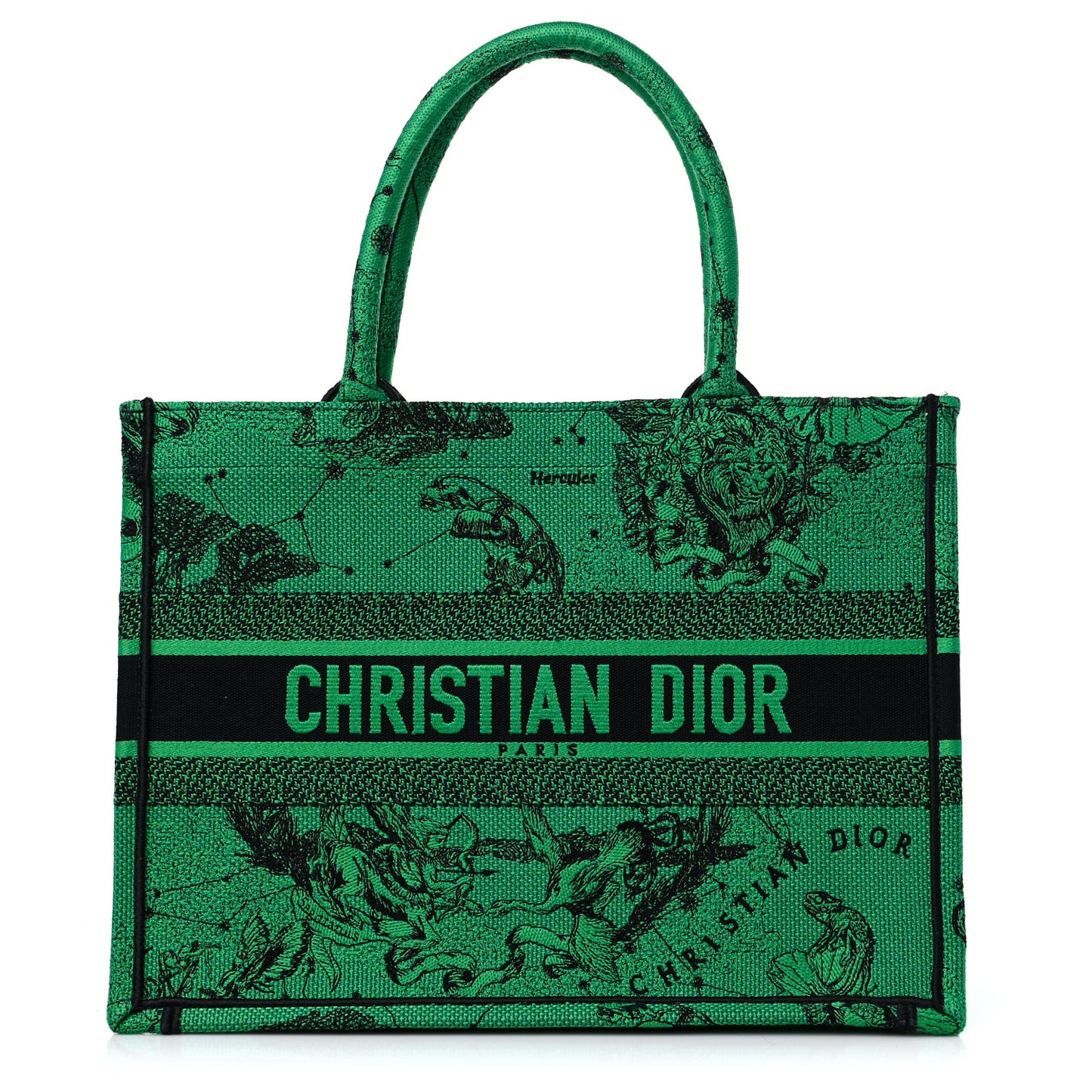 Canvas Embroidered Medium Zodiac Toile De Jouy Book Tote Green
