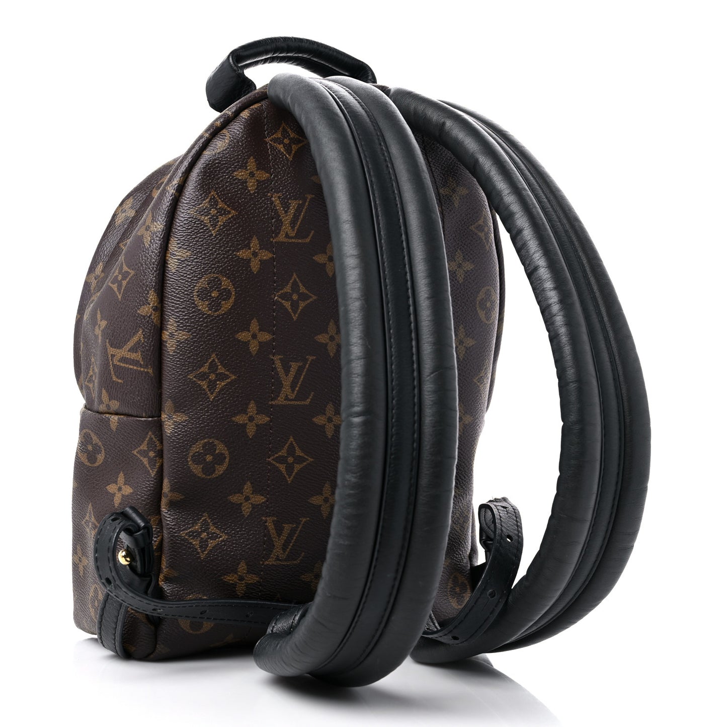Monogram Palm Springs Backpack PM