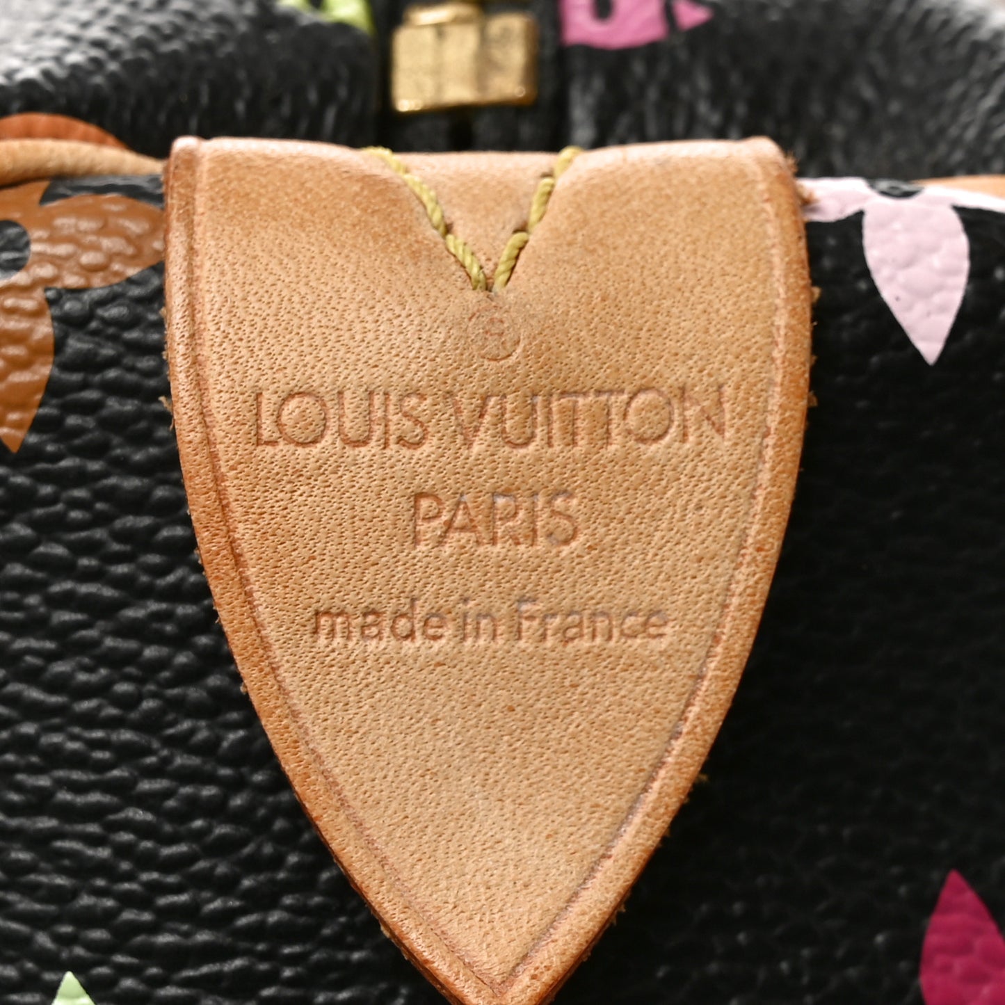 Monogram Multicolor Speedy 30 Black