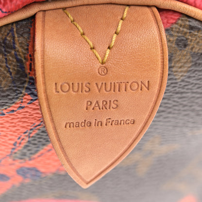 Louis Vuitton Monogram Ramages Speedy 30 Grenade 6 of 12