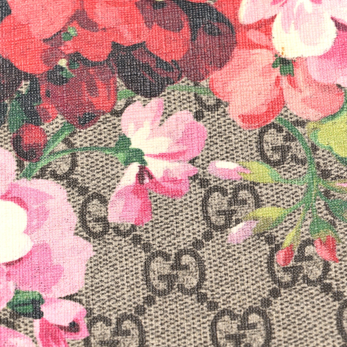 GG Supreme Monogram Blooms Medium Single Buckle Backpack Beige Multicolor Dry Rose