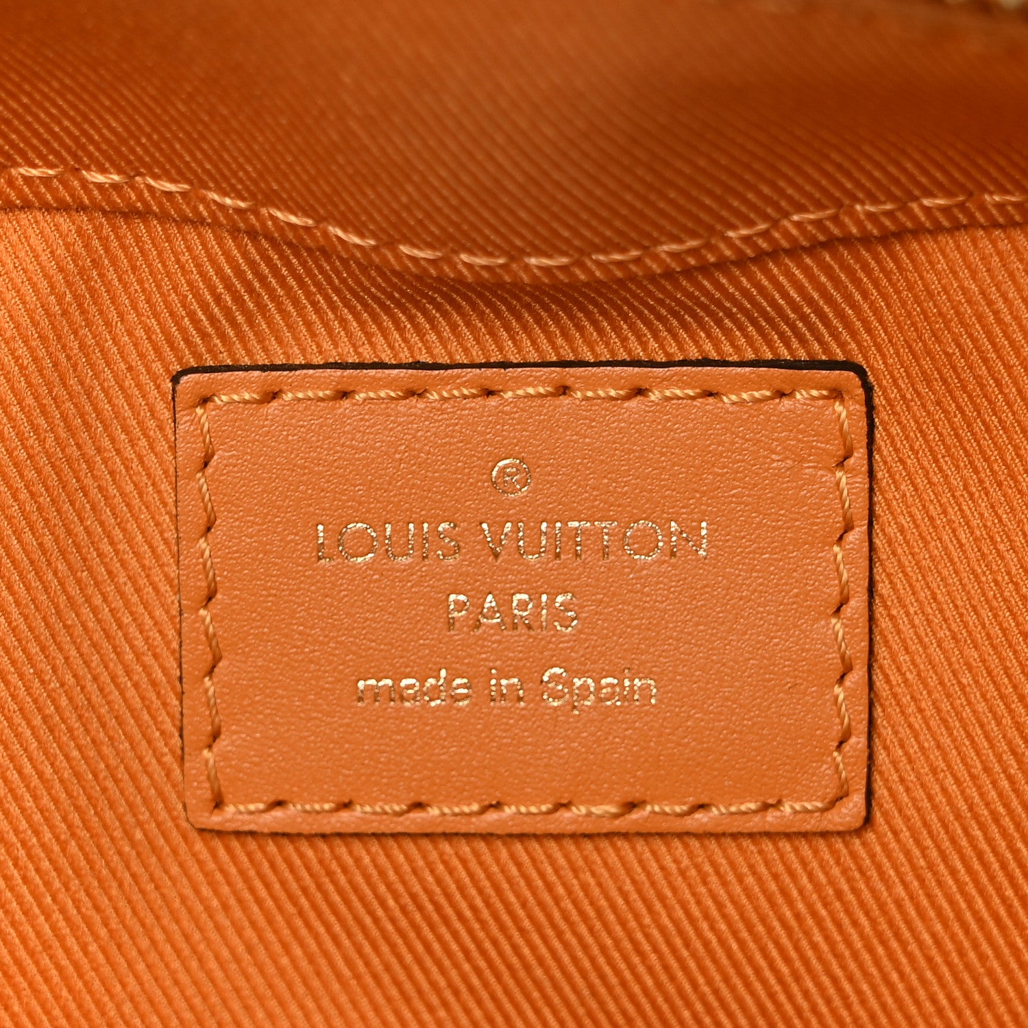 Louis Vuitton Damier Ebene Santa Monica Safran 6 of 8