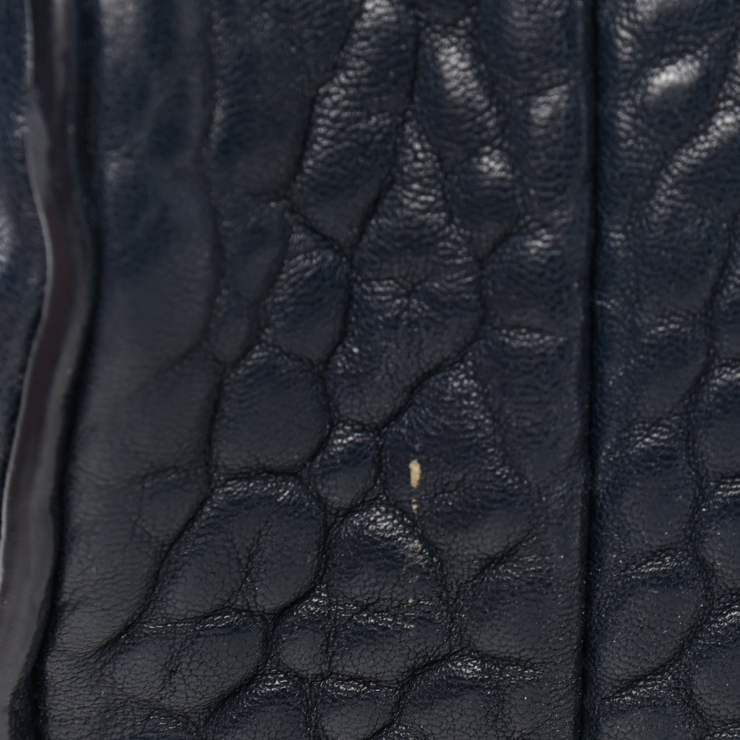 Alexander Wang Pebbled Lambskin Rockie Neptune Rhodium Hardware 15 of 17