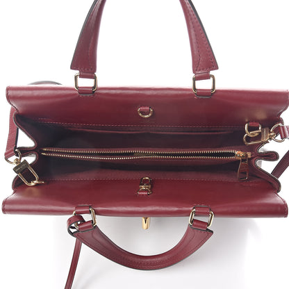 Louis Vuitton Monogram Venus Raisin 5 of 9