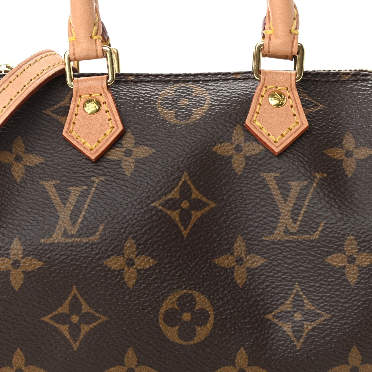 Monogram Nano Speedy