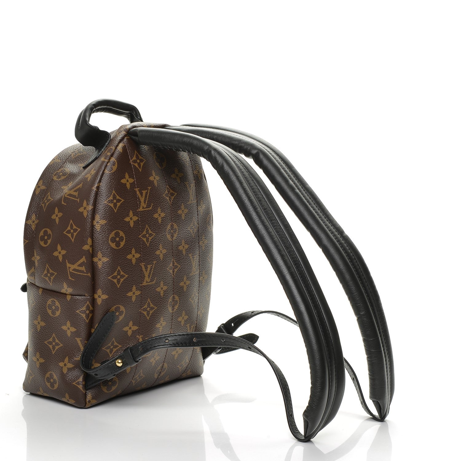Louis Vuitton Monogram Palm Springs Backpack PM 3 of 6