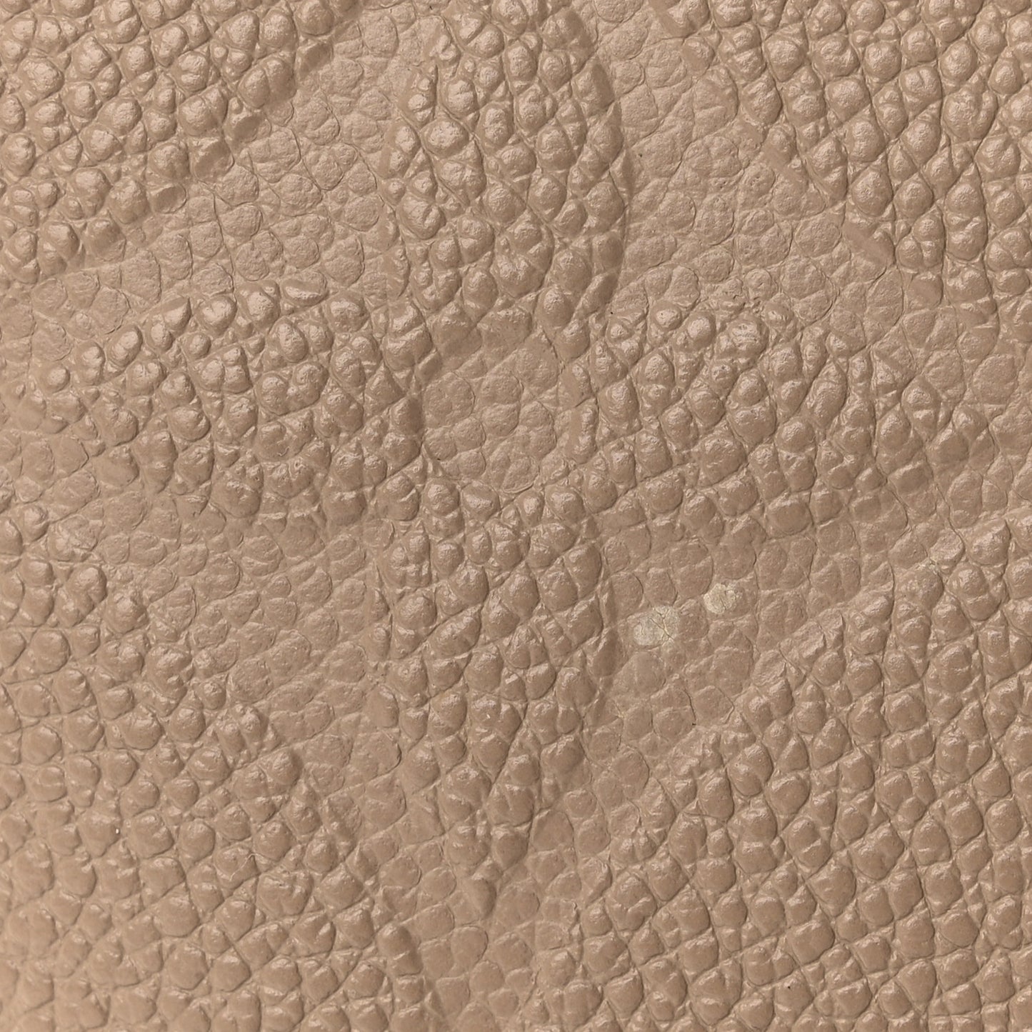 Empreinte Monogram Giant Speedy Bandouliere 25 Tourterelle